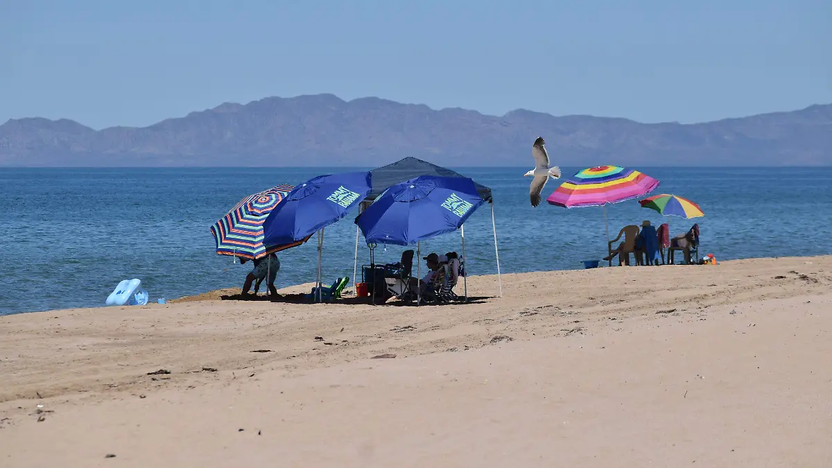 Bahia de Kino-Carlos Villalba (31) (1)